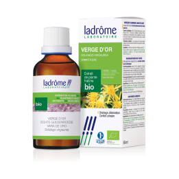 Bio Goldruten Urtinktur - Solidago virgaurea 50 ml - Ladrôme - Urtinkturen - Frischpflanzenextrakte - 1