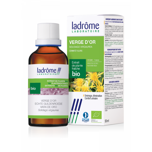 Teinture-mère Verge d'or Bio - Solidago virgaurea 50 ml - Ladrôme - Teintures-mère - Extraits de plantes fraîches - 2