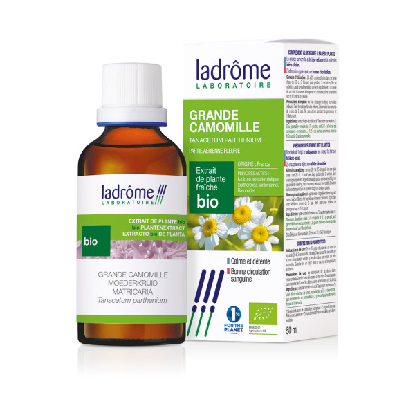 Camomille Bio - Le pot de 1 litre : Plantes aromatiques Botanic® potager et  verger - botanic®