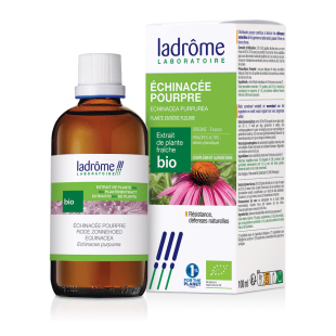 Teinture-mère Echinacée BIO - Echinacea purpurea 100 ml - Ladrôme - 2 - Herboristerie du Valmont Teinture-mère Echinacée BIO - Echinacea purpurea 100 ml - Ladrôme - 2 - Herboristerie du Valmont