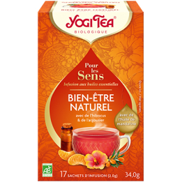 Yogi Tea - Bien-être naturel BIO 20 sachets -Thé Ayurvédique - Tisanes en infusettes - 1