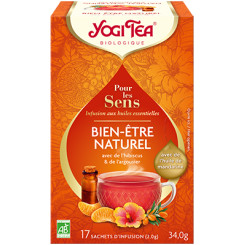 Yogi Tea - Bien-être naturel BIO 17 sachets -Thé Ayurvédique - Tisanes en infusettes - 1