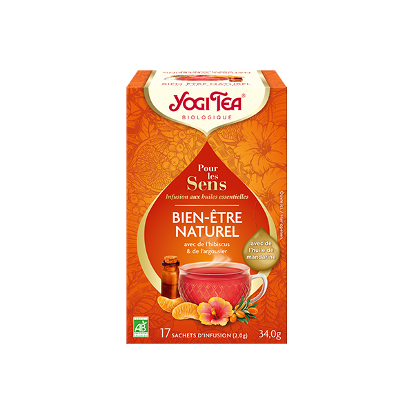 Yogi Tea - Bien-être naturel BIO 20 sachets -Thé Ayurvédique - Tisanes en infusettes - 1