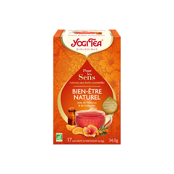 Yogi Tea - Bien-être naturel BIO 17 sachets -Thé Ayurvédique - Tisanes en infusettes - 1