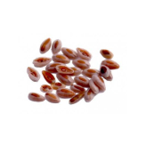 copy of  - Médecine ayurvédique - 1