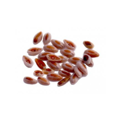 copy of Amalaki Fruit poudre 100 gr - Samskara - Médecine ayurvédique - 1