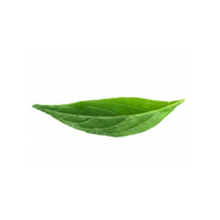 copy of Amalaki Fruit poudre 100 gr - Samskara - Médecine ayurvédique - 1