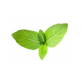 copy of Amalaki Fruit poudre 100 gr - Samskara - Médecine ayurvédique - 1