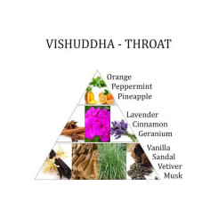 Parfum d'ambiance  - Chakra de la gorge (5) Vishuddha - Throat Chakra - Spray 100ml - Aromafume - Encens, Résines Traditionnelle