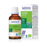 Teinture-mère Alfalfa - Luzerne commune Bio - Medicago sativa - 50 ml - Ladrôme - Teintures-mère - Extraits de plantes fraîches -Teinture-mère Alfalfa - Luzerne commune Bio - Medicago sativa - 50 ml - Ladrôme