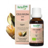 Celluligem - Minceur et cellulite - 50 ml Bio - Herbalgem - GC05 - Gemmothérapie - 2-Celluligem - Minceur et cellulite - 30 ml Bio - Herbalgem - GC05