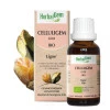 Celluligem - Minceur et cellulite - 50 ml Bio - Herbalgem - GC05 - Gemmothérapie - 2-Celluligem - Minceur et cellulite - 50 ml Bio - Herbalgem - GC05