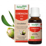 Cordiagem - Coeur - 15 ml Bio Herbalgem - GC04 - <p><span>Synergie de bourgeons de gui, d'aubépine et d'ail es ours - Tension - 