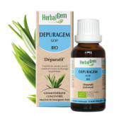 Dépuragem - Detox - 15 ml Bio Herbalgem - GC07 - <p><span>Genévrier - Romarin - Pissenlit - Artichaut - Toxines.</span></p> - 1