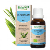 Dépuragem - Detox - 30 ml Bio Herbalgem - GC07 - Gemmothérapie - 1-Dépuragem - Detox - 30 ml Bio Herbalgem - GC07