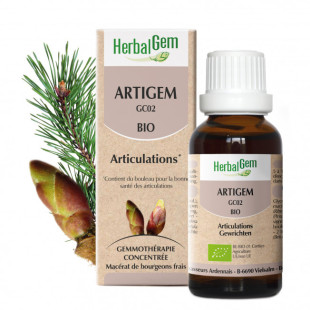 Artigem - Articulations - 15 ml Bio Herbalgem - GC02 - <p>Pin - Vigne - Bouleau - Cassis - Macérat glycériné - Articulations.</p