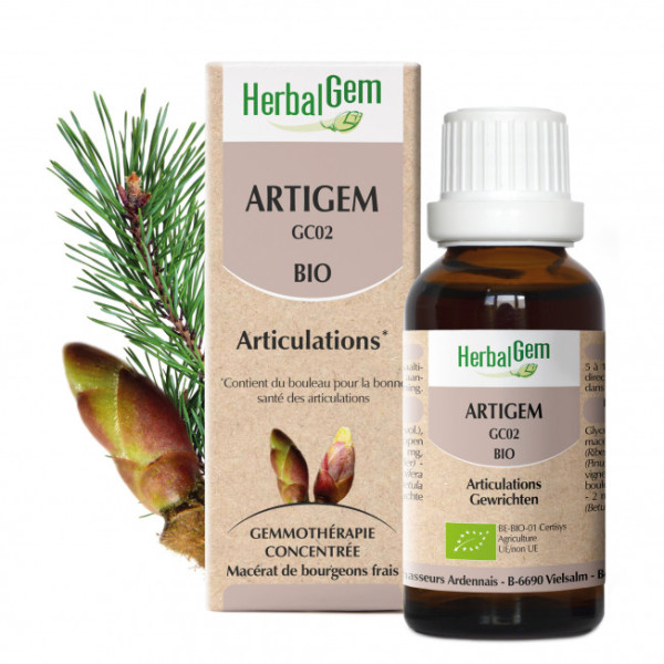 Artigem - Articulations - 30 ml Bio - Herbalgem - GC02 - Gemmothérapie - 2