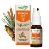 Energem - Energie et vitalité - Spray 10 ml Bio - Herbalgem - Gemmothérapie - 1