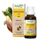 Immunogem - Défence - spray 15 ml Bio Herbalgem - GC09 - Gemmothérapie - 1-Immunogem - Défence - spray 15 ml Bio Herbalgem - GC09