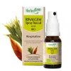 Rinalgem - Allergie - Spray buccal 10 ml Bio - Herbalgem - GC29 - Gemmothérapie - 1-Rinalgem - Allergie - Spray buccal 10 ml Bio - Herbalgem - GC29