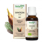 Sanogem - Défense - 30 ml Bio - Herbalgem - GC18 - Gemmothérapie - 1-Sanogem - Defense - 30 ml Biologisch - Herbalgem - GC18