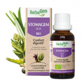 Stomagem - Estomac - 30 ml Bio - GC23 Herbalgem - Gemmothérapie - 1-Stomagem - Estomac - 30 ml Bio - GC23 Herbalgem