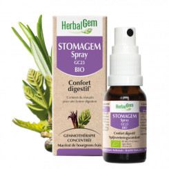 Stomagem - Estomac - spray 15 ml Bio - Herbalgem - Gemmothérapie - 1