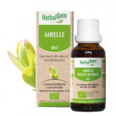 Airelle bourgeon Bio - Vaccinium vitis-idaea Macérat - 30 ml Bio - Herbalgem - Gemmothérapie - 1-Extrait de bourgeon d'Airelle Bio - 30 ml Bio - Herbalgem