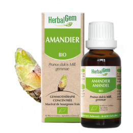 Amandier bourgeon Bio - Prunus amygdalus Macérat - 50 ml - Herbalgem - Gemmothérapie - 1