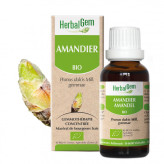 Amandier bourgeon Bio - Prunus amygdalus Macérat - 30 ml - Herbalgem - Gemmothérapie - 1-Amandier bourgeon Bio - Prunus amygdalus Macérat - 30 ml - Herbalgem