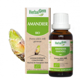Amandier bourgeon Bio - Prunus amygdalus Macérat - 30 ml - Herbalgem - Gemmothérapie - 1-Biologisch amandelknopextract - 30 ml - Herbalgem