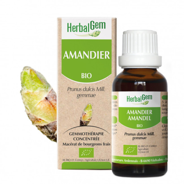 Amandier bourgeon Bio - Prunus amygdalus Macérat - 30 ml - Herbalgem - Gemmothérapie - 1