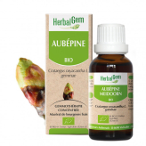 Aubépine bourgeon Bio - Crataegus oxyacantha Macérat - Spray 15 ml - Herbalgem - Gemmothérapie - 1-Aubépine bourgeon Bio - Crataegus oxyacantha Macérat - 15 ml - Herbalgem