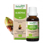 Aubépine bourgeon Bio - Crataegus oxyacantha Macérat - 30 ml - Herbalgem - Gemmothérapie - 1-Extrait de bourgeon d'Aubépine Bio - 30 ml - Herbalgem