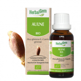 Erlenkleie Bio - Alnus glutinosa Mazerat - 50 ml - Herbalgem - Gemmotherapie - 1