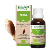 Aulne glutineux bourgeon Bio - Alnus glutinosa Macérat - 50 ml - Herbalgem - Gemmothérapie - 1-Extrait de bourgeon d'Aulne glutineux Bio - 30 ml - Herbalgem