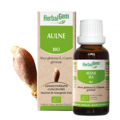 Erlenkleie Bio - Alnus glutinosa Mazerat - 50 ml - Herbalgem - Gemmotherapie - 1