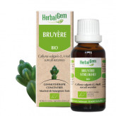 Bruyère bourgeon Bio -  Calluna vulgaris Macérat - 15 ml - Herbalgem - <p>Calluna vulgaris - Macérat glycériné - Pour les voies 