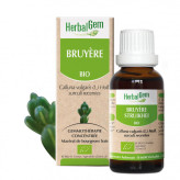Bruyère bourgeon Bio -  Calluna vulgaris Macérat - 30 ml - Herbalgem - Gemmothérapie - 1-Extrait de bourgeon de Bruyère Bio - 30 ml - Herbalgem