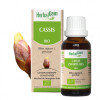 Cassis bourgeon Bio -  Ribes nigrum Macérat - Spray 15 ml - Herbalgem - Gemmothérapie - 2-Cassis bourgeon Bio -  Ribes nigrum Macérat - Spray 15 ml - Herbalgem