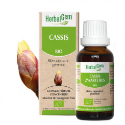 Cassis bourgeon Bio - Ribes nigrum macérat - 30 ml - Herbalgem - Gemmothérapie - 1