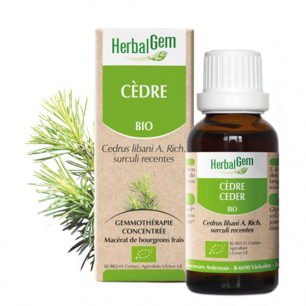 Cèdre du Liban bourgeon Bio -  Cedrus libani Macérat - 50 ml - Herbalgem - Gemmothérapie - 1