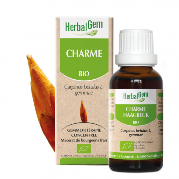 Charme bourgeon Bio - carpinus betulus Macérat - 15 ml - Herbalgem - Gemmothérapie - 1