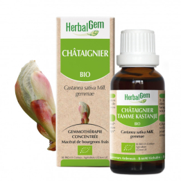 Bio Kastanienknospen - Castanae sativa Mazerat - 50 ml - Herbalgem - Gemmotherapie - 1