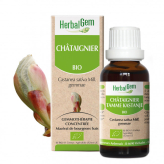Chataignier bourgeon Bio - Castanae sativa Macérat - 50 ml - Herbalgem - Gemmothérapie - 1-Biologisch kastanjeknoppenextract - 30 ml - Herbalgem
