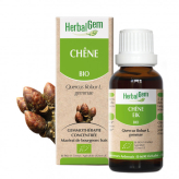 Chêne bourgeon Bio - Quercus robur Macérat - 30 ml - Herbalgem - Gemmothérapie - 1-Biologisch Eikenknoppenextract - 30 ml - Herbalgem