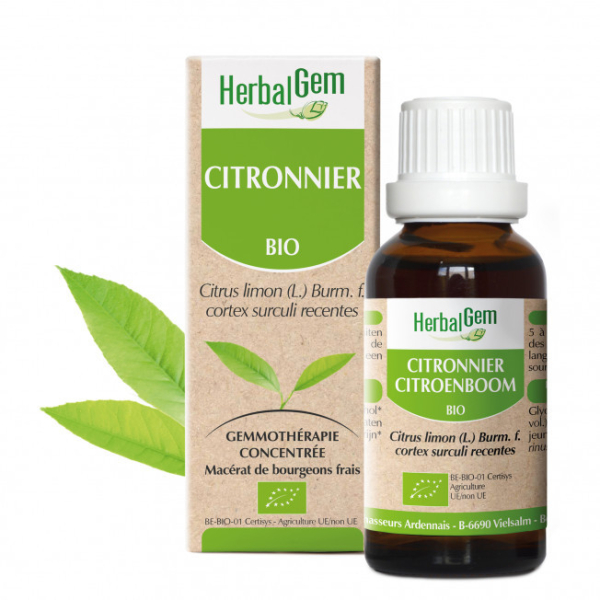 Citronnier bourgeon Bio - Citrus limonum Macérat - 50 ml - Herbalgem - Gemmothérapie - 1