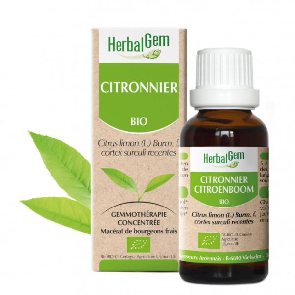 Citronnier bourgeon Bio - Citrus limonum Macérat - 30 ml - Herbalgem - Gemmothérapie - 1