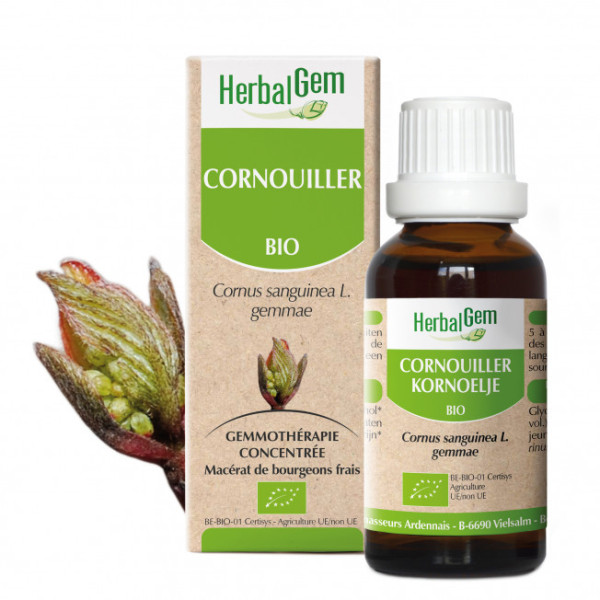 Cornouiller bourgeon Bio - Cornus sanguinea Macérat - 30 ml - Herbalgem - Gemmothérapie - 1