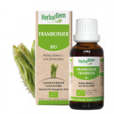 Framboisier bourgeon Bio - Rubus idaeus Macérat - 30 ml Bio - Herbalgem - Gemmothérapie - 1-Extrait de bourgeon de Framboisier Bio - 30 ml Bio - Herbalgem